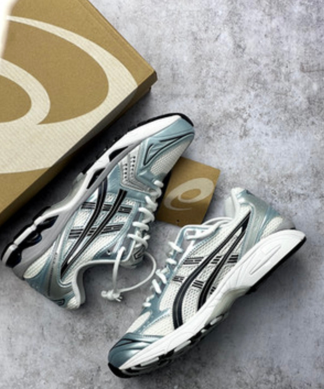 Asics Kayano x10
